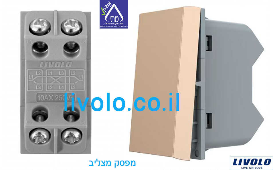תמונת המוצר